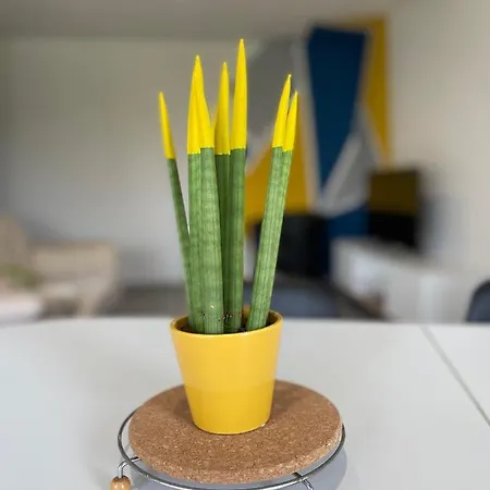 Maison Color' * Archingeay