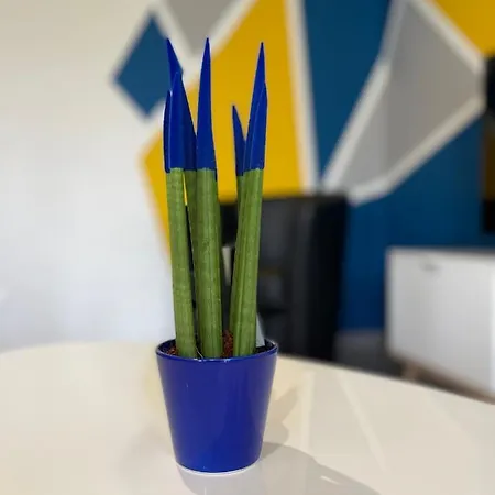 Maison Color' Appartement